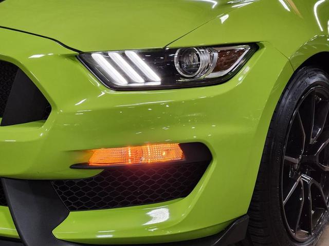 Photo of 2020 Green Ford Shelby GT350