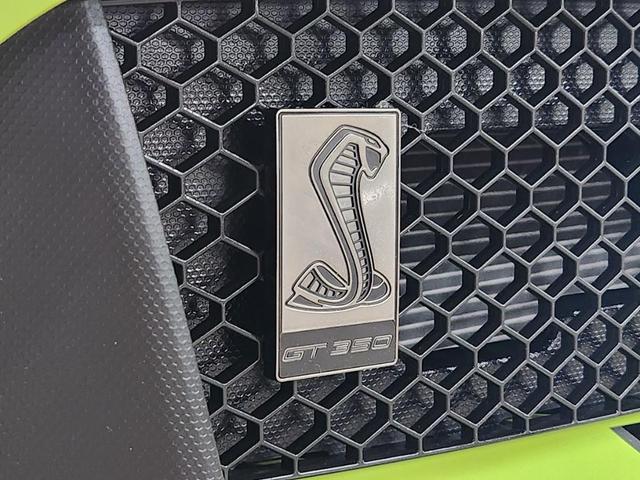 Photo of 2020 Green Ford Shelby GT350