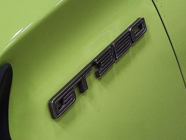 Photo of 2020 Green Ford Shelby GT350