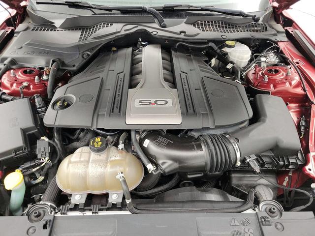 Photo of 2019 Red Ford Mustang