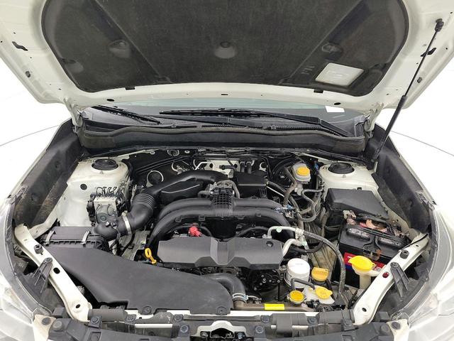 Photo of 2017 White Subaru Forester