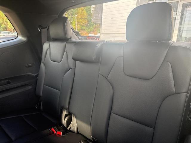 Photo of 2025 Panthera Metal Kia Telluride