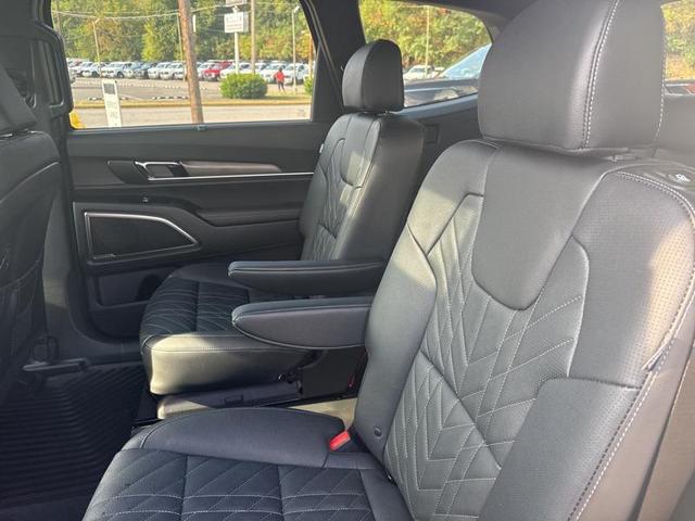 Photo of 2025 Panthera Metal Kia Telluride