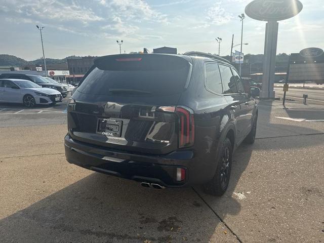 Photo of 2025 Panthera Metal Kia Telluride