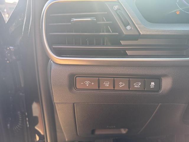 Photo of 2025 Panthera Metal Kia Telluride