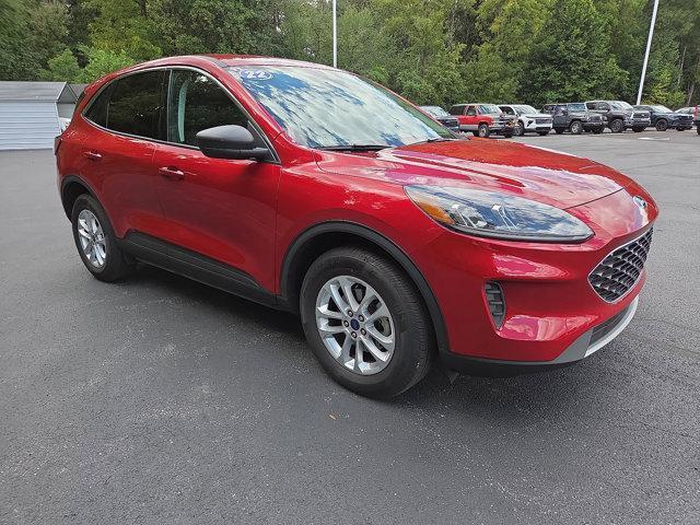 Photo of 2022 Rapid Red Metallic Tinted Clearcoat Ford Escape