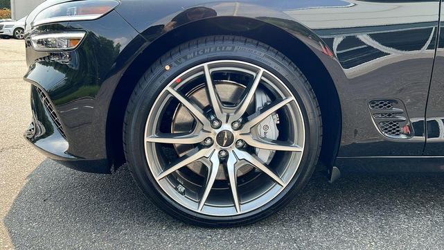 Photo of 2026 Vik Black Genesis G70