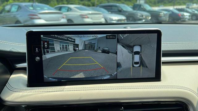 Photo of 2026 Vik Black Genesis G70