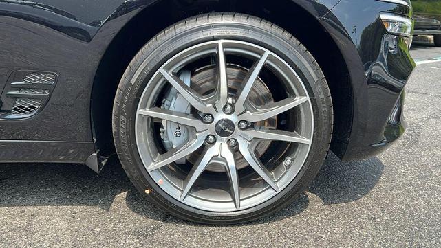 Photo of 2026 Vik Black Genesis G70