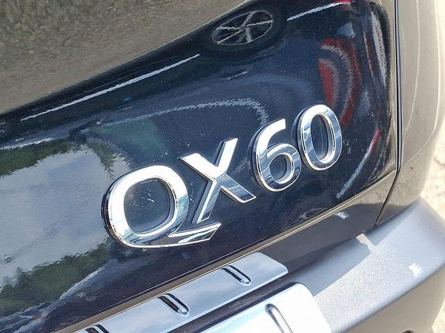 Photo of 2022 Mineral Black INFINITI QX60
