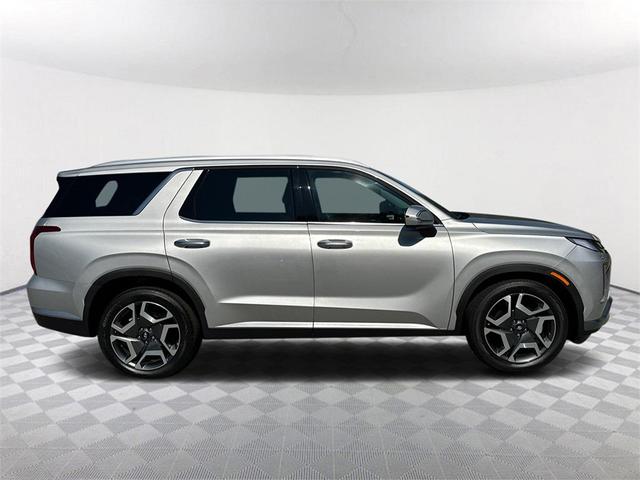 Photo of 2025 Typhoon Silver Hyundai PALISADE