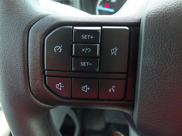 Photo of 2025 Avalanche Ford F-350