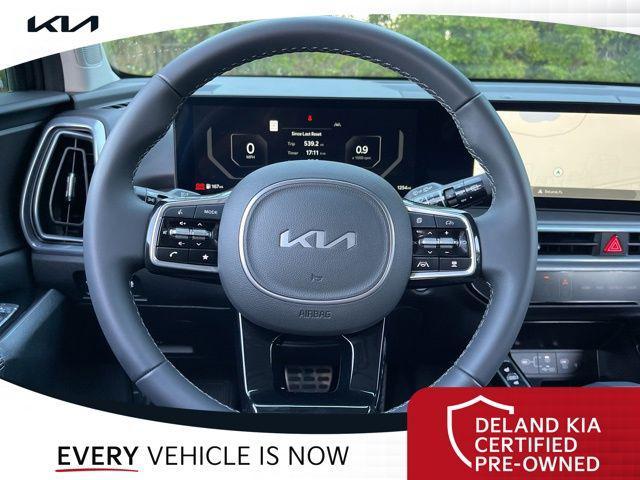 Photo of 2025 Panthera Metal Kia Sorento