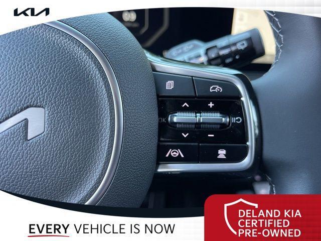Photo of 2025 Panthera Metal Kia Sorento