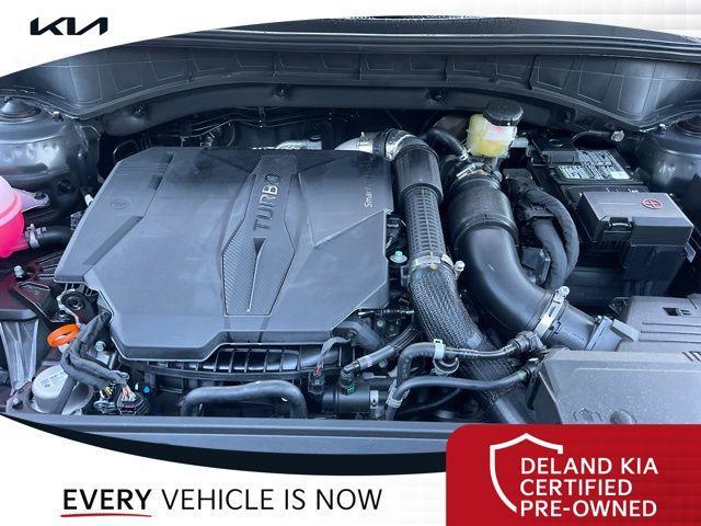 Photo of 2025 Panthera Metal Kia Sorento