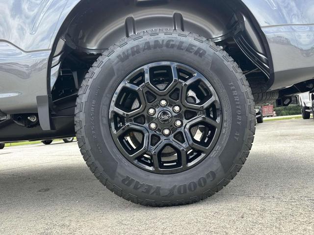 Photo of 2025 Carbonized Gray Metallic Ford F-150