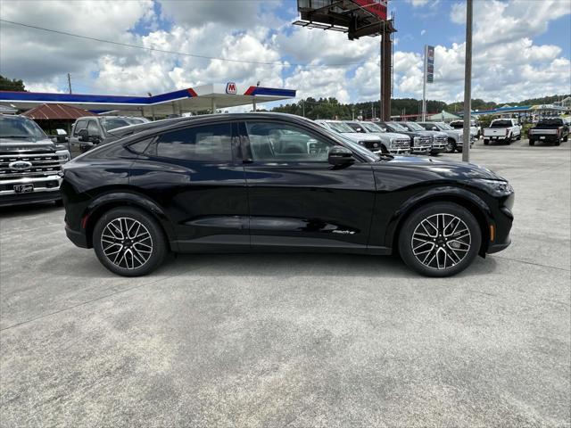 Photo of 2025 Shadow Black Ford Mustang Mach-E
