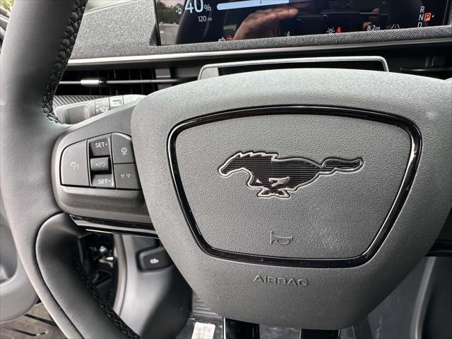 Photo of 2025 Shadow Black Ford Mustang Mach-E
