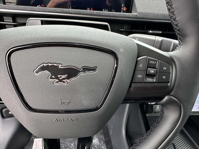 Photo of 2025 Shadow Black Ford Mustang Mach-E