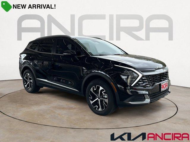 2024 Kia Sportage