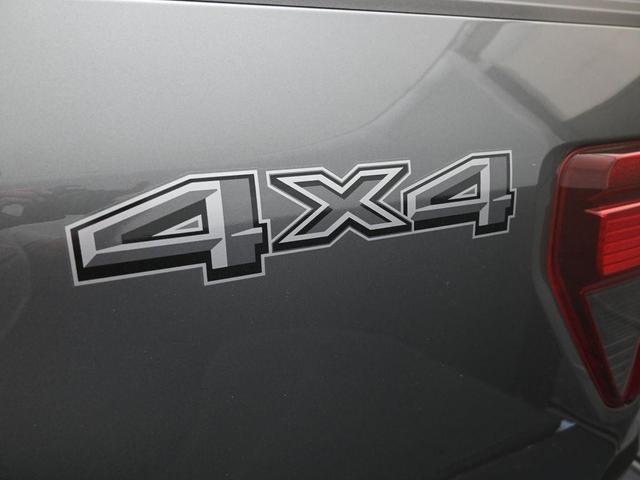 Photo of 2025 Carbonized Gray Metallic Ford F-150