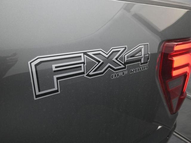 Photo of 2025 Gray Metallic Ford F-150