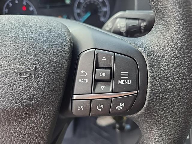 Photo of 2025 Oxford White Ford Transit-250
