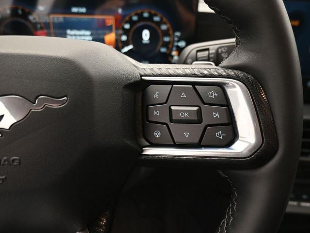 Photo of 2025 Shadow Black Ford Mustang
