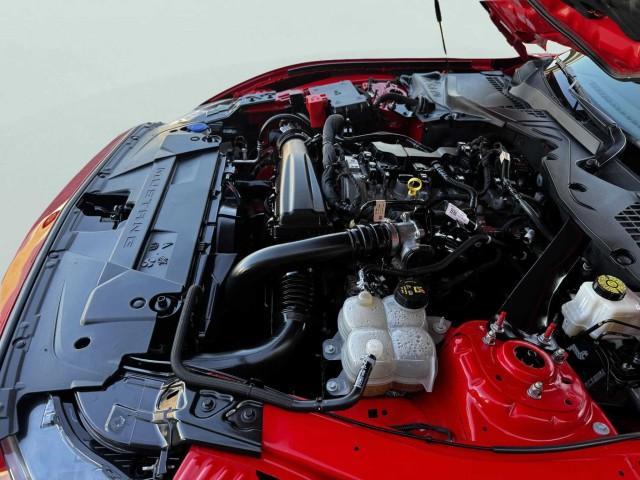 Photo of 2024 Red Metallic Ford Mustang