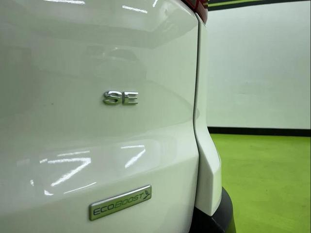 Photo of 2018 Off white Ford EcoSport