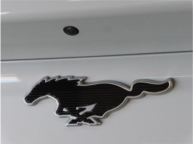 Photo of 2022 White Ford Mustang Mach-E