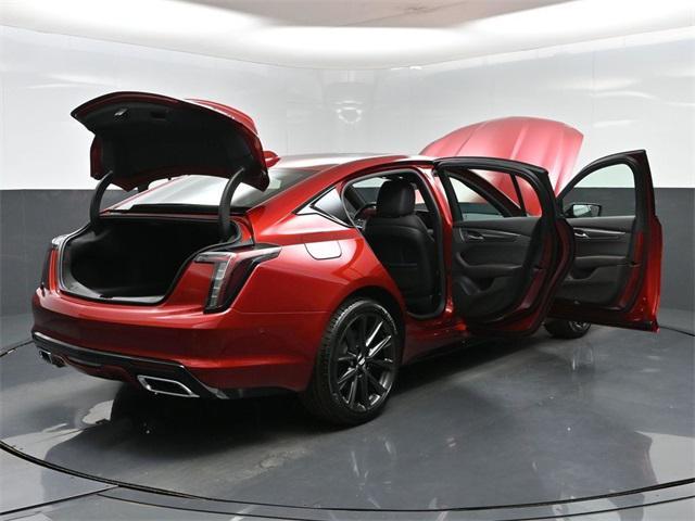 Photo of 2026 Radiant Red Tintcoat Cadillac CT5