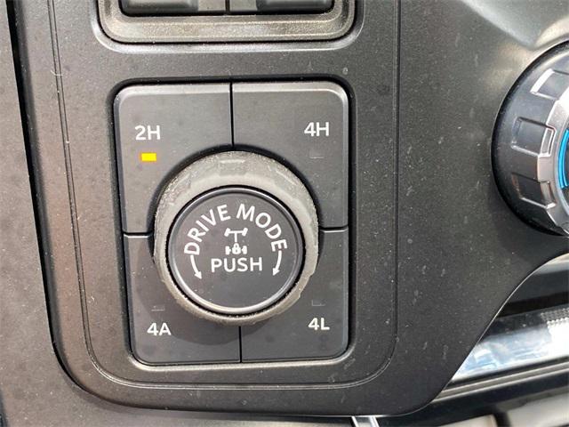 Photo of 2024 Shelter Green Ford F-150