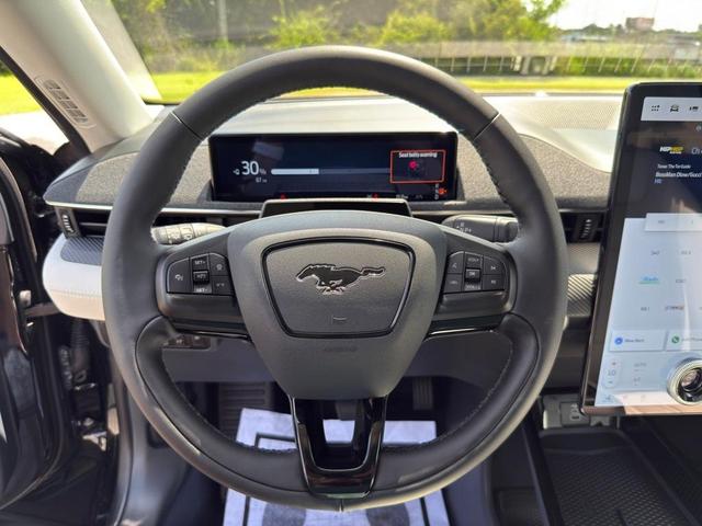 Photo of 2025 Shadow Black Ford Mustang Mach-E