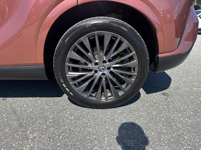 Photo of 2023 Orange Lexus RX 350