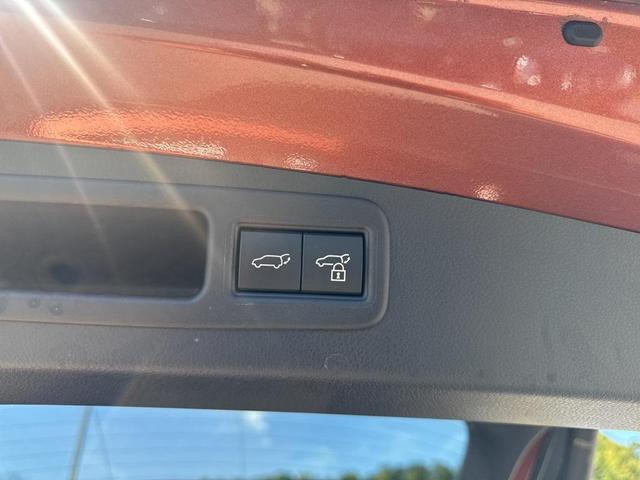 Photo of 2023 Orange Lexus RX 350