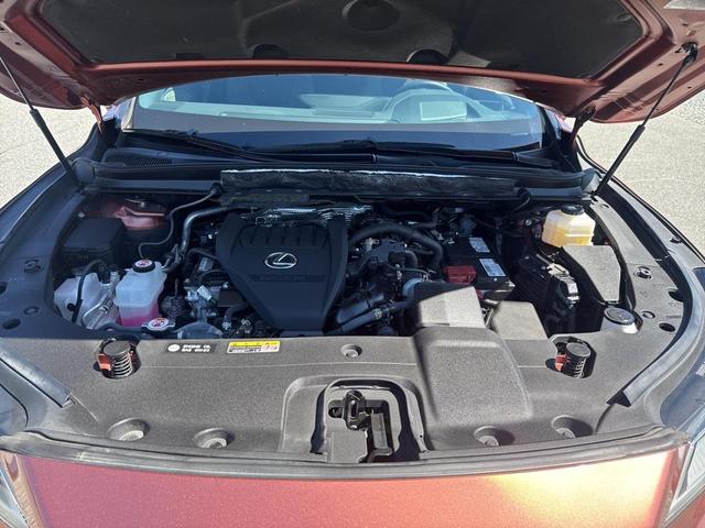 Photo of 2023 Orange Lexus RX 350