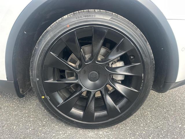 Photo of 2021 Pearl White Multi-Coat Tesla Model Y