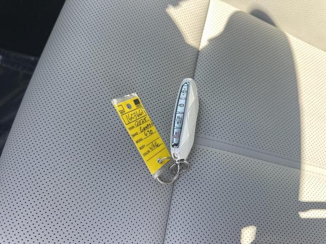 Photo of 2025 Vatna Gray Genesis G70