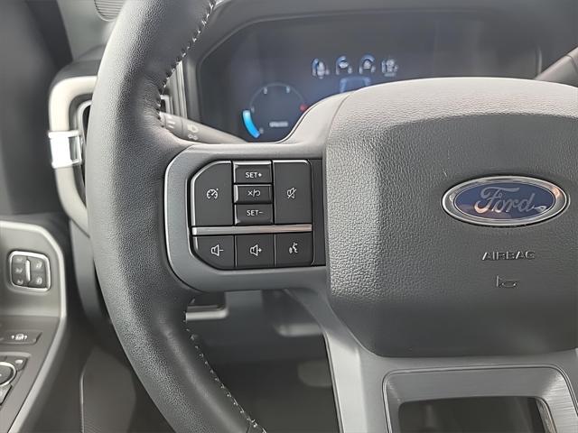 Photo of 2024 Gray Ford F-450