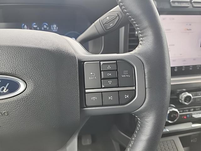 Photo of 2024 Gray Ford F-450