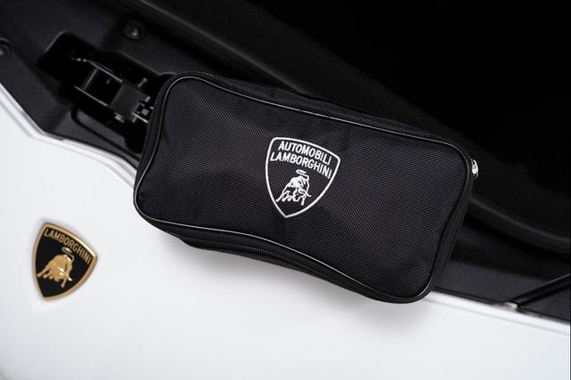 Photo of 2019 Bianco Opalis Lamborghini Aventador S