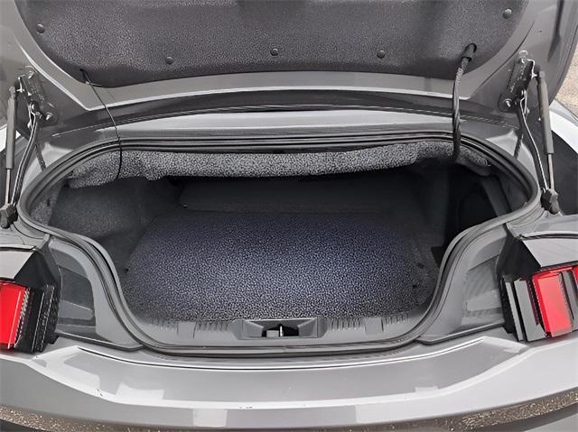Photo of 2024 Gray Metallic Ford Mustang