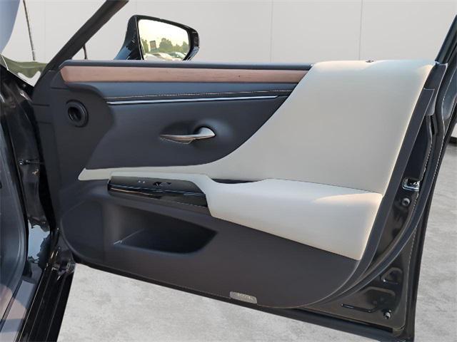 Photo of 2024 Cloudburst Gray Lexus ES 250