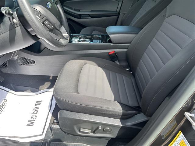 Photo of 2020 Magnetic Ford Edge