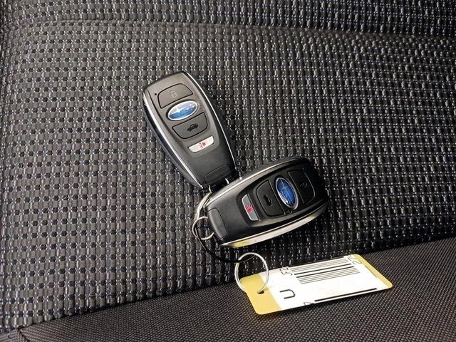 Photo of 2025 Gray Subaru Forester
