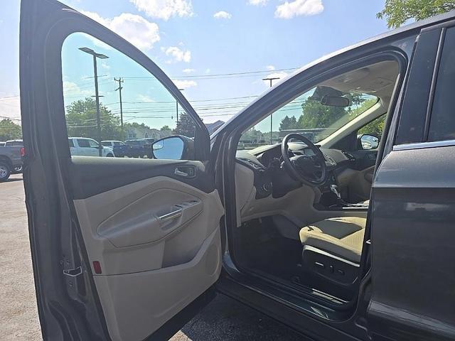 Photo of 2019 Magnetic Ford Escape