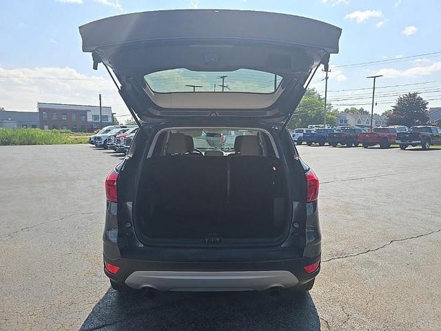 Photo of 2019 Magnetic Ford Escape