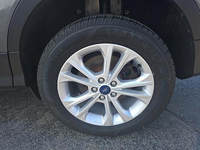 Photo of 2019 Magnetic Ford Escape