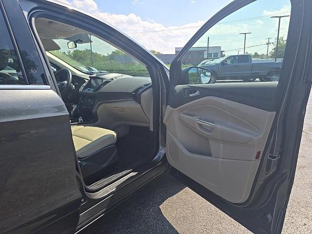 Photo of 2019 Magnetic Ford Escape